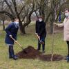 Den Opfern der Pandemie wurde am 23. März bayernweit gedacht. Oberbürgermeister Christian Schuchardt (rechts) pflanzte zusammen mit Bürgermeister Martin Heilig und Amtskollegin Judith Jörg im Skulpturenpark am Hubland einen Apfelbaum. 