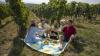 Pünktlich zum Osterwochenende starten die lokalen Winzer und Gastronomen in Dettelbach mit einem neuen Service: der Dettelbacher Picknicksteige.