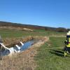 Ein Gyrocopter rollte am Sendelbacher Flugplatz am Ende der Landebahn weiter und landete in der Baunach.