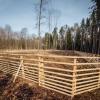 Nachdem das Käferholz im Höchheimer Forst geschlagen wurde, sollen Hordengatter, errichtet aus dem Holz der befallenen Bäume, als Schutzzäune für die Aufforstung und Verjüngung des Waldes dienen.