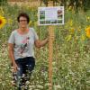 Immer wieder verweisen die Landwirte darauf, dass sie selbstmit ihren Flächen für den Insektenschutz sorgen, wie hier die Familie Viernekäs aus Schönbach mit ihrer Blühwiese.