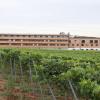 Das Weinhotel im Osten Volkachs ist seit September in Betrieb.