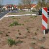 Nachher: Mit trockenresistenten Stauden bepflanzt, wird die Insel in Zukunft aufblühen.
