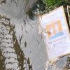 Hier hat wohl jemand gezeigt, was er von der Maskenpflicht hält: Im Volkachbach in Gerolzhofen, unterhalb der Brücke in der Schallfelder Straße, liegt ein Hinweisschild im Wasser. Eigentlich sollte dies Schild am benachbarten Parkplatz hängen und auf die dort geltende Maskenpflicht hinweisen.