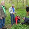 Um den Erhalt des Wald-Nabelnüsschens bei Horhausen kümmern sich (von links) Gebietsbetreuer Otto Elsner, Dr. Werner Fuchs und Ehefrau Barbara, Herbert Roth und Manfred Husslein von der Unteren Naturschutzbehörde am Landratsamt Haßberge.