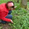 Barbara Fuchs entdeckte vor einigen Wochen zusammen mit ihrem Ehemann Werner das seit über 100 Jahre verschollene Wald-Nabelnüsschen in einem Wald bei Horhausen.