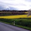 Im hinteren Bereich vor dem Waldrand, hier von Marbach aus gesehen, soll eventuell ein Lagerplatz für wiederverwertbaren Bauschutt entstehen. Im hinteren Bereich vor dem Waldrand, hier von Marbach aus gesehen, soll eventuell ein Lagerplatz für wiederverwertbaren Bauschutt entstehen.