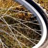 Eine E-Bikerin stürzt in Leubach von ihrem Rad und verletzte sich dabei leicht (Symbolbild).