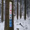 An vielfrequentierten Hauptrouten von Wanderstrecken sieht die Anordnung von Wegemarkierungen so aus wie hier nahe des Roten Moores. An vielfrequentierten Hauptrouten von Wanderstrecken sieht die Anordnung von Wegemarkierungen so aus wie hier nahe des Roten Moores.