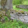 Mächtige Bäume wuchern inzwischen in der Ruine und zerstören mit ihren Wurzeln das Mauerwerk. Mächtige Bäume wuchern inzwischen in der Ruine und zerstören mit ihren Wurzeln das Mauerwerk.