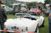 Viele automobile Schönheiten, darunter echte Klassiker,  waren am Wochenende beim Oldtimertreffen in Stockheim zu sehen.