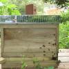 Fleißige Immen am Werk: Mittlerweile gibt es auch ein junges Bienenvolk im Garten. Fleißige Immen am Werk: Mittlerweile gibt es auch ein junges Bienenvolk im Garten.