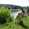 "See-Hund" Elly passte vom Strand aus auf. "See-Hund" Elly passte vom Strand aus auf.