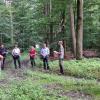 Der Hafenlohrer Gemeinderat beim Waldbegang mit Förster Matthias Huckle.