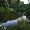 Um die Wasserqualität des Burgwallbacher Badesees auch in Zukunft erhalten zu können, wird überlegt, im hinteren Bereich des Sees eine natürliche Uferzone mit Wasserpflanzen anzulegen.