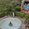 Im Garten von Helga und Manfred Dömling eröffnet sich von der Wohnterrasse ein Blick auf die Wasserspiele und den Figurenschmuck und vermittelt den Eindruck, in einem Ausläufer des angrenzenden Hofgartens zu sein. Ein Strandkorb lud so manche Besucher zum Entspannen ein.