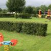 Viel Potential bietet der sehr große „Käsespielplatz“ am Flechtlein in Zellingen. Das vom Familienbeirat und Elterninitiative entwickelte Konzept sieht neben dem Versetzen des Sandkastens einen neuen Spielturm und sogar eine 20 Meter lange Seilbahn vor.