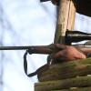Im Staatswald soll ab kommendem Jahr nur noch mit bleifreier Munition geschossen werden. Während Naturschützer auf ein landesweites Verbot drängen, haben Jäger noch Bedenken.