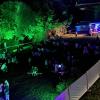 Das "Ochsenfest light" fand auf der Picknickwiese am Mainufer statt.