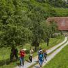 Wanderer im „Lieblichen Taubertal“ mit der Kulisse von Rothenburg ob der Tauber im Hintergrund.