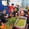 Runter mit dem Hopfen: Beim „Hopfenzupfen“ im Pax Bräu-Hof hatten alle Teilnehmerinnen und Teilnehmer viel Spaß.