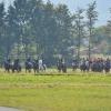 Aufbruch zur Jagd. Vorbei am Turnerheim ging es, entlang dem Weißbach in Richtung in Ipthausen. Aufbruch zur Jagd. Vorbei am Turnerheim ging es, entlang dem Weißbach in Richtung in Ipthausen.