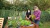 Ernährungsberaterin Verena Klopf (rechts) und eine Projektteilnehmerin ernten den ersten Salat von einem der beiden Hochbeete. Ernährungsberaterin Verena Klopf (rechts) und eine Projektteilnehmerin ernten den ersten Salat von einem der beiden Hochbeete.