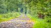 Ein Passant geht mit Krücken in Richtung Tretzendorf. Viele Fußgänger und Fahrradfahrer betonen, es bräuchte eine alternative zum Schotterweg durch den Wald. Ein Passant geht mit Krücken in Richtung Tretzendorf. Viele Fußgänger und Fahrradfahrer betonen, es bräuchte eine alternative zum Schotterweg durch den Wald.