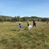 An der Corona Challenge 4 Kids in Oberwaldbehrungen nahmen 137 Kinder und Jugendliche teil. An der Corona Challenge 4 Kids in Oberwaldbehrungen nahmen 137 Kinder und Jugendliche teil.