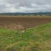 Das Bild zeigt den geplanten Standort für einen elf Hektar großen Solarpark südlich von Traustadt.
