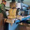Der Apfelbrei kommt aus der Mühle. Der Apfelbrei kommt aus der Mühle.