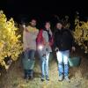 Im Weinberg von Garnik Harunyan bei Prüßberg lasen am 20. und 21. Oktober Helfer in zwei Vollmond-Nächten Wein. Im Weinberg von Garnik Harunyan bei Prüßberg lasen am 20. und 21. Oktober Helfer in zwei Vollmond-Nächten Wein.
