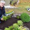 Hatte vor Allerheiligen wieder viel zu tun: Matthias Heurung, Inhaber des Blumen-Center Eschenbach in Bad Königshofen und des Blumenhauses Heurung in Stöckach in den Haßbergen, bepflanzt ein Grab auf dem Friedhof in Bad Königshofen. Für zwei Dutzend Gräber hat er auf dem städtischen  Friedhof die Grabpflege übernommen.