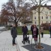 Zeigten sich begeistert über den gelungenen Standort des neu gepflanzten Neustadt-Baums (von links): Bürgermeister Michael Werner, der frühere Stadtrat Manfred Elflein, Stadtbaumeister Michael Wehner, Petra Bieber, Susanne Schäfer (Hauptamt), Bauhofleiter Konrad Wehe und der frühere Stadtrat Reinhold Elflein.