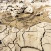 Die Trockenheit im Sommer kann im Grabfeld schnell zum großen Wasserversorgungsproblem werden. Die Trockenheit im Sommer kann im Grabfeld schnell zum großen Wasserversorgungsproblem werden.
