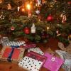 Was liegt in diesem Jahr unter den Weihnachtsbäumen der Region? Vielleicht ein originelles Geschenk aus der Rhön? Wir liefern Ihnen möglicherweise ein paar entscheidende Anregungen. 
