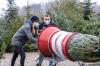 Den richtigen und vor allem frischen Weihnachtsbaum zu finden, ist oft gar nicht so leicht. Diese Kundin und dieser Kunde scheinen ihn in der Nähe von Gramschatz gefunden zu haben. Den richtigen und vor allem frischen Weihnachtsbaum zu finden, ist oft gar nicht so leicht. Diese Kundin und dieser Kunde scheinen ihn in der Nähe von Gramschatz gefunden zu haben.