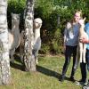 Entspannend: eine Wanderung mit den Grabfeld-Alpakas. Mit im Bild Halter Michael Hippold mit der im vergangenen Jahr geborenen Luna und seine Nicht Pia Weikert. Entspannend: eine Wanderung mit den Grabfeld-Alpakas. Mit im Bild Halter Michael Hippold mit der im vergangenen Jahr geborenen Luna und seine Nicht Pia Weikert.