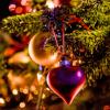Würzburger Adventskalender: Aus dem Nähkästchen geplaudert