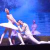 „Weißer-Schwan-Pas-de-Deux“ in der Stadthalle: Die Solisten Ekaterina Bortiakova (Odette/Odile) und
Alexander Tarasov (Prinz Siegfried).