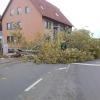 Tief "Hendrik" richtete auch in Gerolzhofen einige Schäden an, wie hier bei der evangelischen Kirche. Tief "Hendrik" richtete auch in Gerolzhofen einige Schäden an, wie hier bei der evangelischen Kirche.