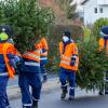 Die Jugendfeuerwehr sorgt in Eßfeld dafür, dass ausgediente Weihnachtsbäumen nach dem Fest ordentlich entsorgt werden. 