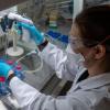 Labore versuchen dem Coronavirus auf die Spur zu kommen.