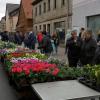 Bischofsheim hat sich ein neues Marktkonzept gegeben. Drei Märkte sind als Themenmärkte vorgesehen. Los geht's am 11. April mit einem Blumenmarkt.