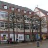 Noch ist offen, ob alle vier Linden am Lohrer Marktplatz weichen müssen.