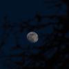Der Mond ist aufgegangen.