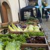 Frisch vom Feld oder aus dem Gewächshaus vor Ort sind die regionalen Produkte aus der #eimat nicht nur wegen „lecker“ sehr gefragt, sondern auch, da es sie oft in Bioqualität gibt. Jetzt geht es darum die Vermarktungswege zu optimieren.