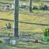 Bei der naturnahen Bestattung auf dem Stadtfriedhof von Bad Königshofen führen an den Urnengräbern aufgestellte Kerzen oder Grabschmuck zu erheblichem Aufwand bei der Pflege des Rasens. Die Gegenstände sollten entfernt werden. Ansonsten geschieht dies kostenpflichtig durch die Stadtverwaltung.