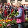 Bei schönstem Sonnenschein konnte der Blumen- und Gartenmarkt in Frammersbach sein zehntes Jubiläum feiern.