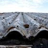 Asbest war als Baustoff lange beliebt, an vielen älteren "Bauwerken" finden sich immer noch häufig solche Wellfaserplatten, bei deren Abbau, Lagerung und Entsorgung äußerste Sorgfalt gefragt ist.